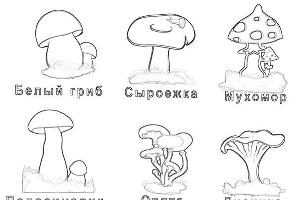 Грибы раскраска для детей