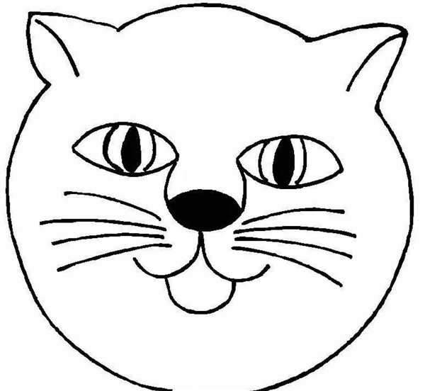 Схематичный рисунок кошки