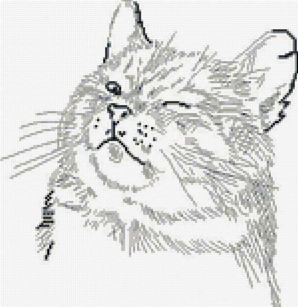 Кошка схематично