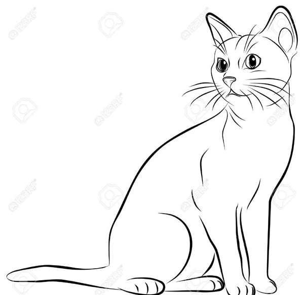 Кошка рисунок