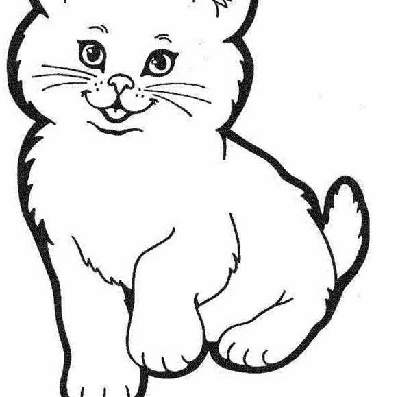 Кошка сидит рисунок
