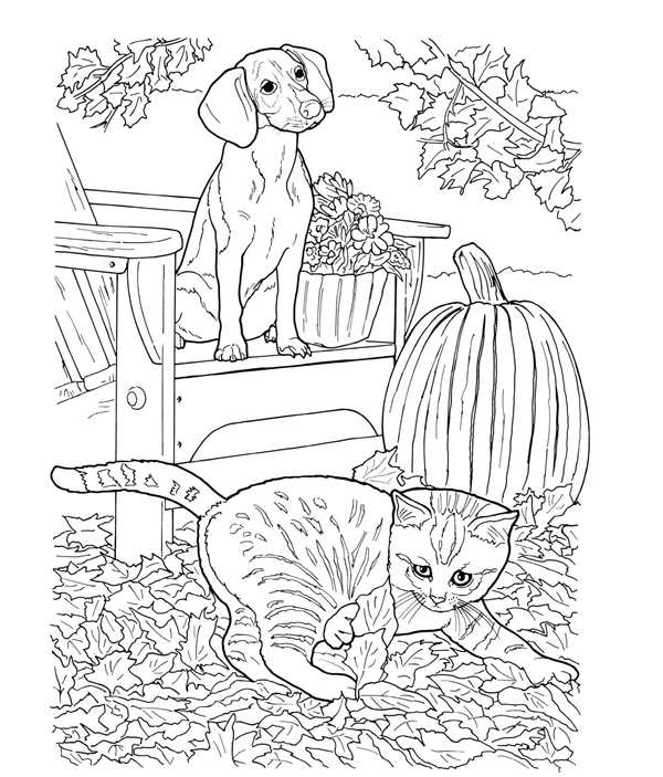 Раскраска котенок и собачка