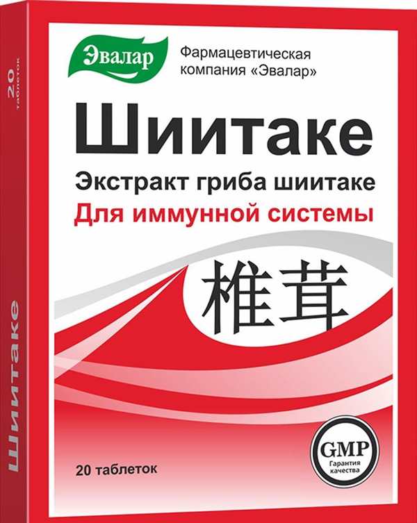 Гриб рисунок вектор
