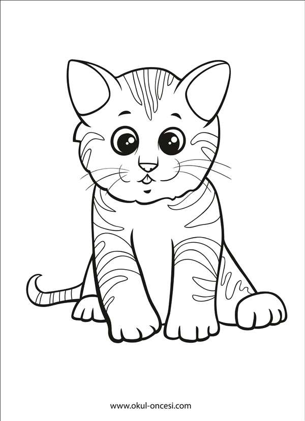Раскраска кот