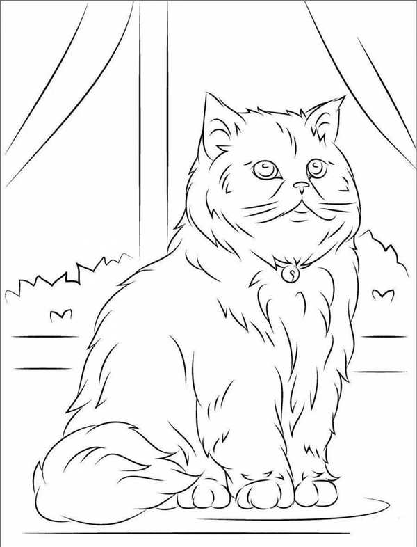Раскраска кошка с котятами