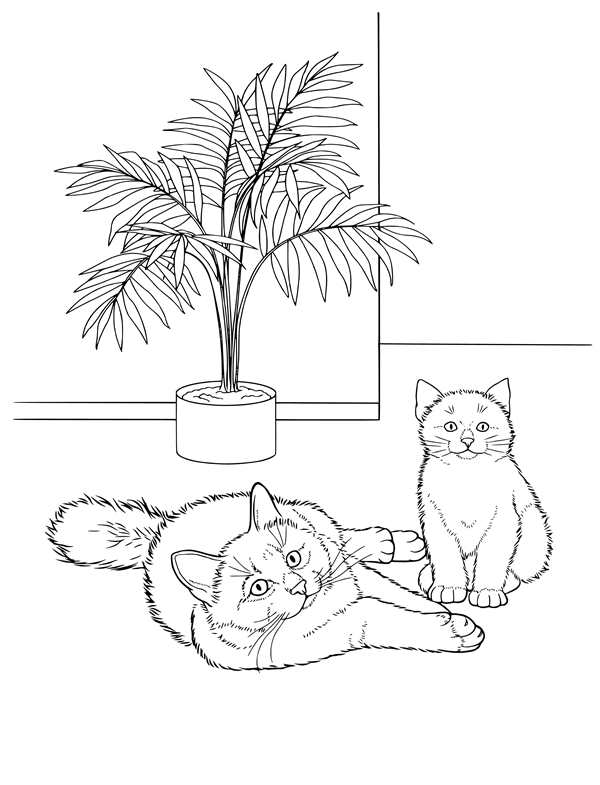 Раскраска. Котики