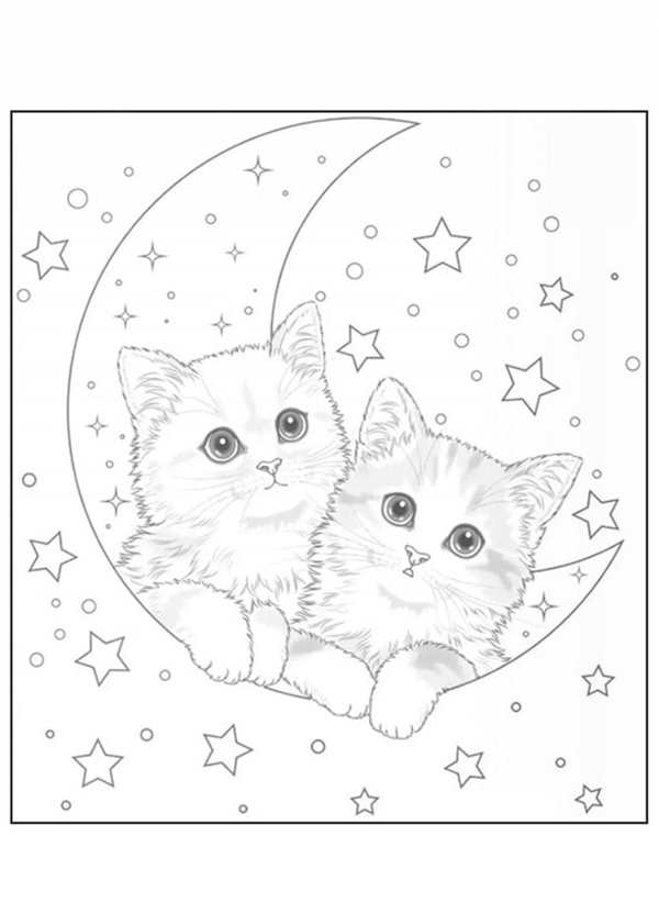 Котенок раскраска для детей