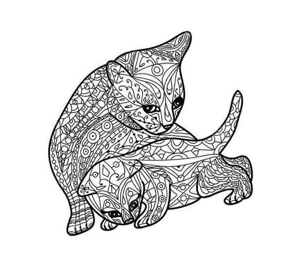 Раскраска Шикарный домашний кот