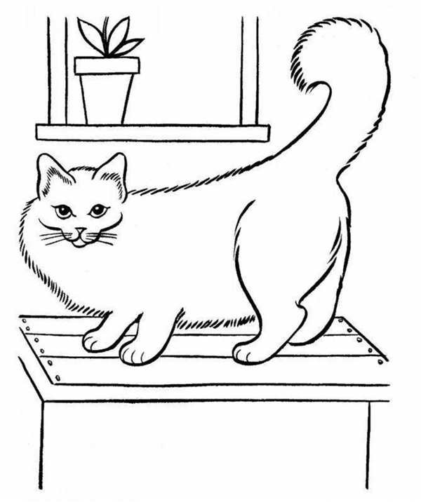 Кошка для раскрашивания
