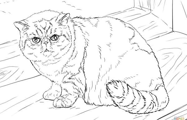 Кошки. Раскраска