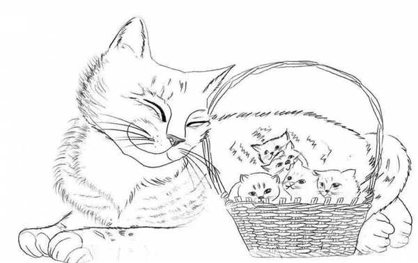Кошка рисунок