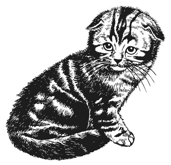 Татарский костюм раскраска