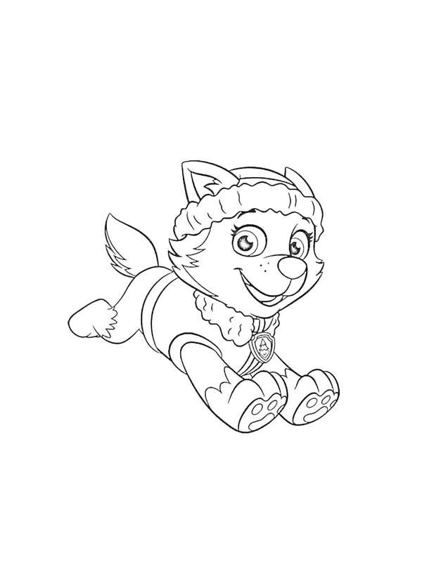 Coloring Paw Patrol Скай