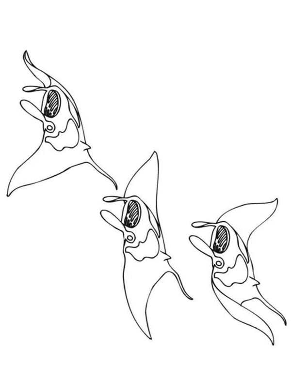 Скат рисунок
