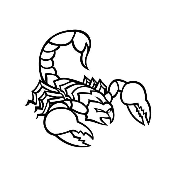 Скорпион рисунок