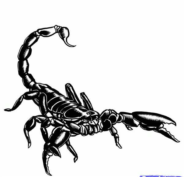 Раскраска Скорпион с яркими жалами