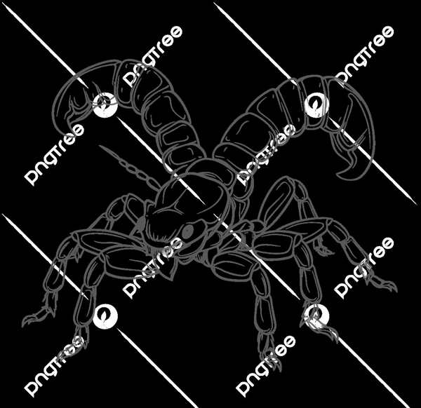 Скорпион рисунок