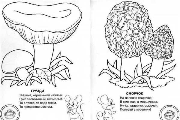Сморчок гриб рисунок