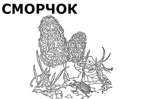 Раскраска Сmorчки Веселые Приключения