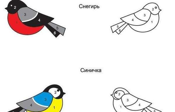 Снегирь на ветке раскраска