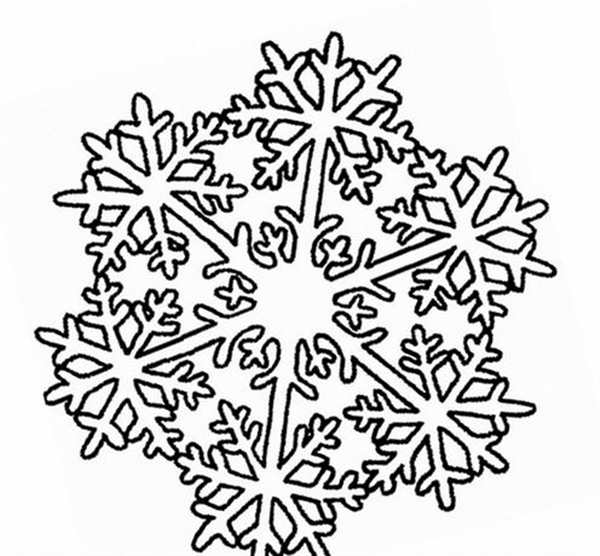 Раскраска Снежинка Из Листьев