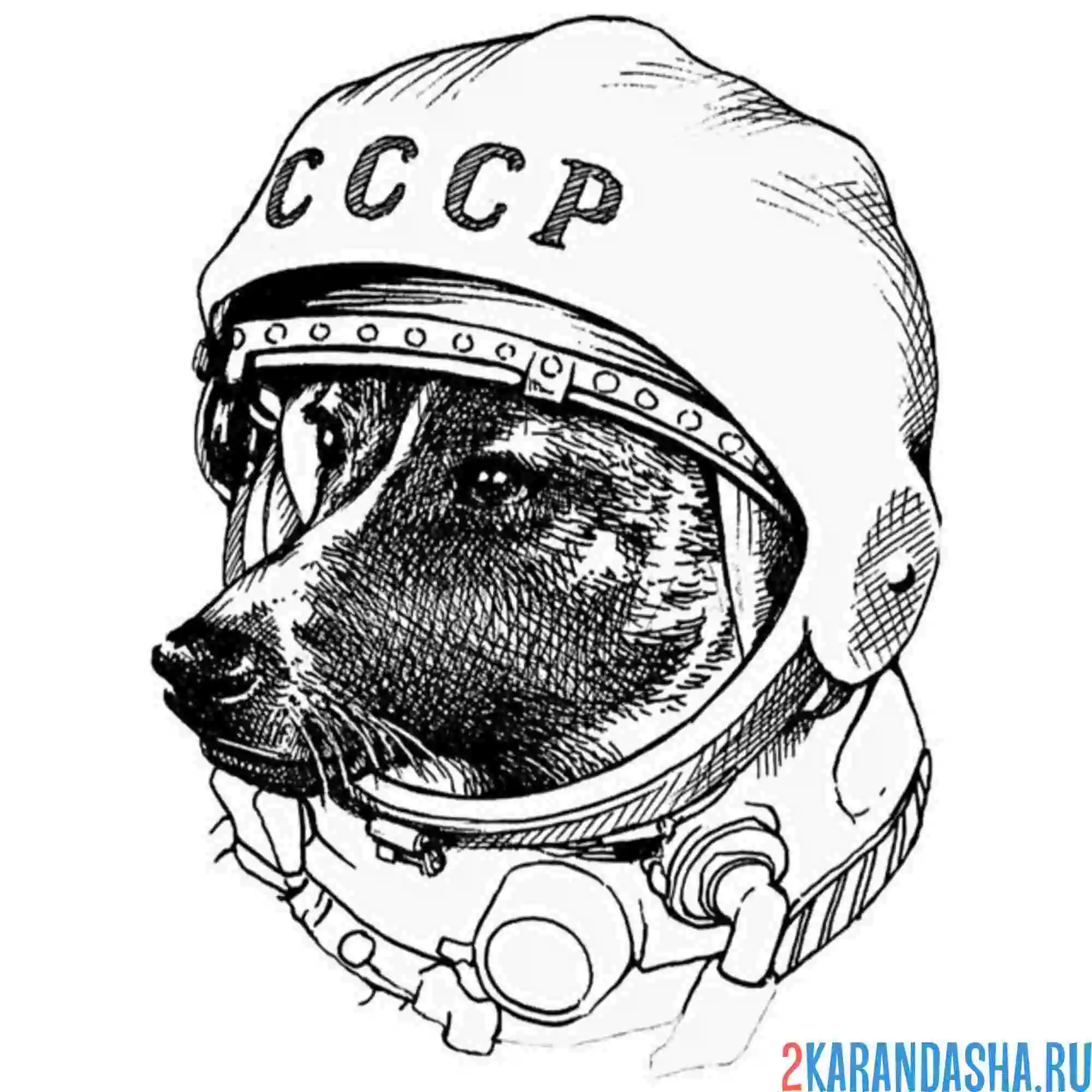 Белка и стрелка раскраска для детей