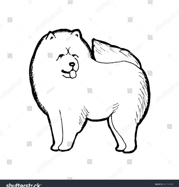 Чау чау силуэт