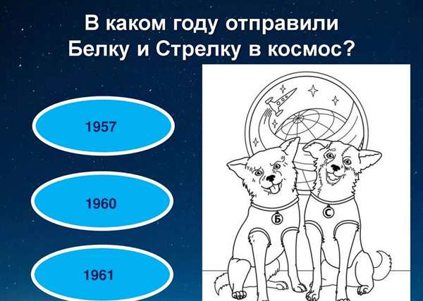 Белка и стрелка раскраска