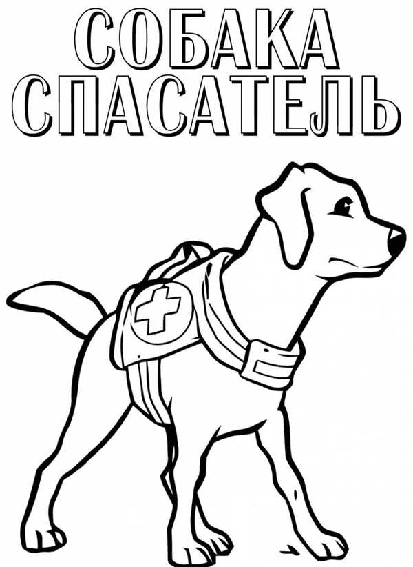 Раскраска \