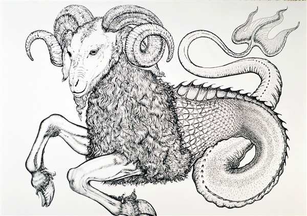 Созвездие Capricornus