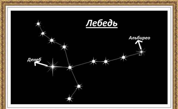 Созвездие лебедя схематично