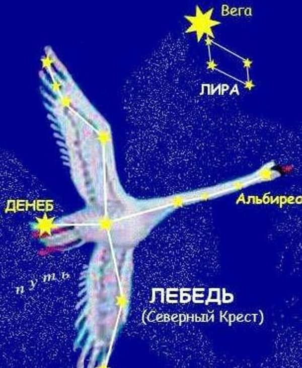 Раскраска Созвездие Лебедя