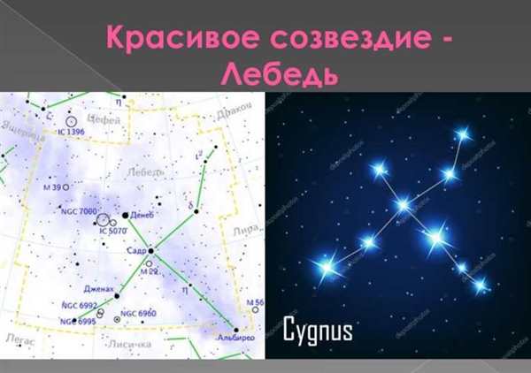 Созвездие лебедя на карте звездного неба