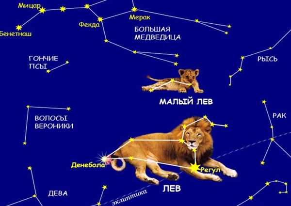 Созвездие малая Медведица схема по точкам