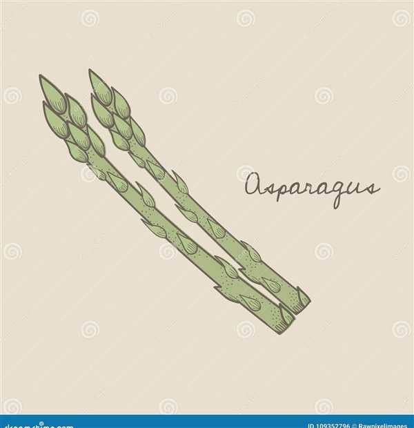 Спаржа скетч