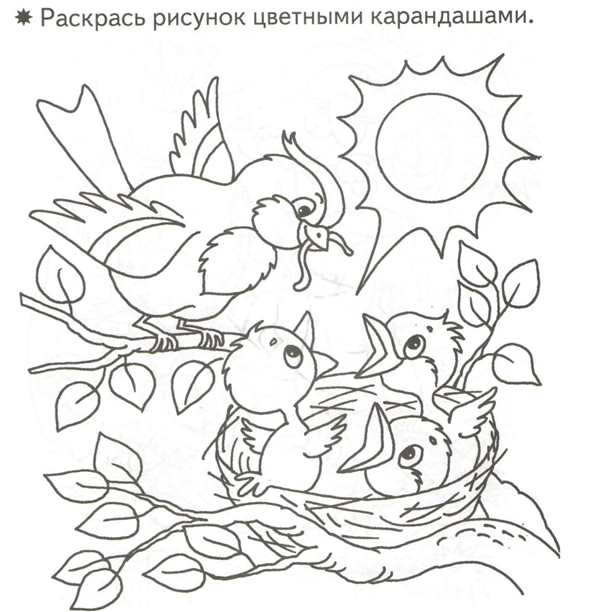 Воробей рисунок