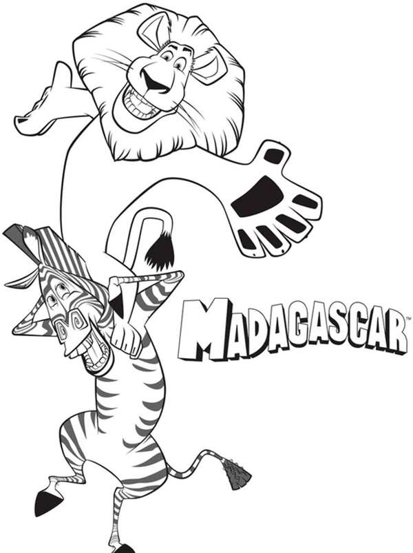 Марти из Мадагаскара