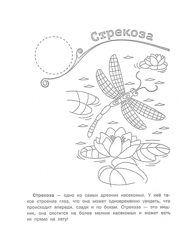 Раскраска стрекозаComplex Узоры