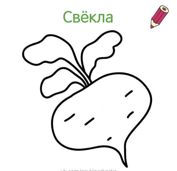 Свекла раскраска