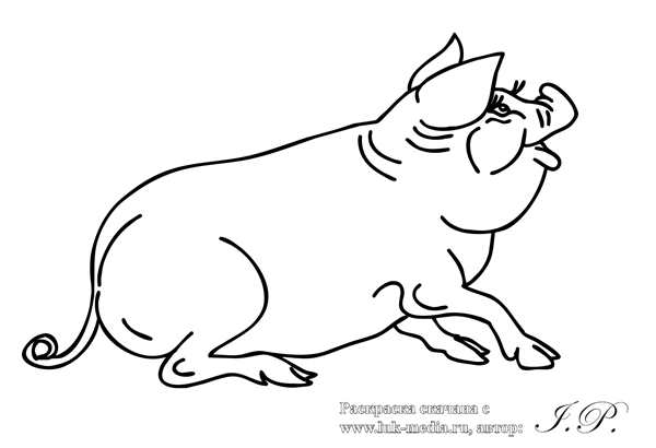 Раскраска Король Тимон и Пумба