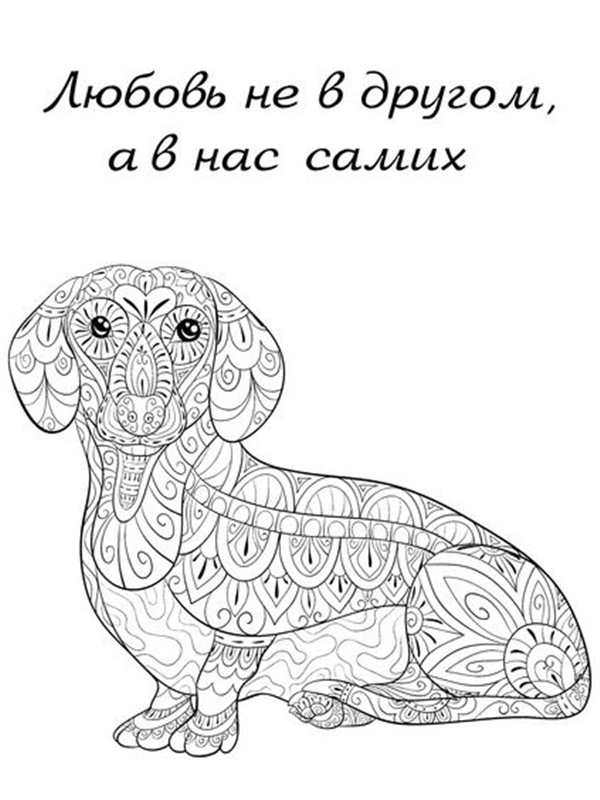 Раскраска собака такса