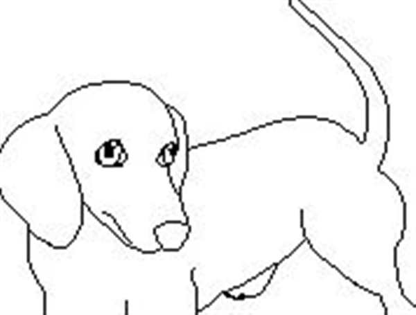 Раскраска Такса Веселые Активности для Детей и Лovers PET