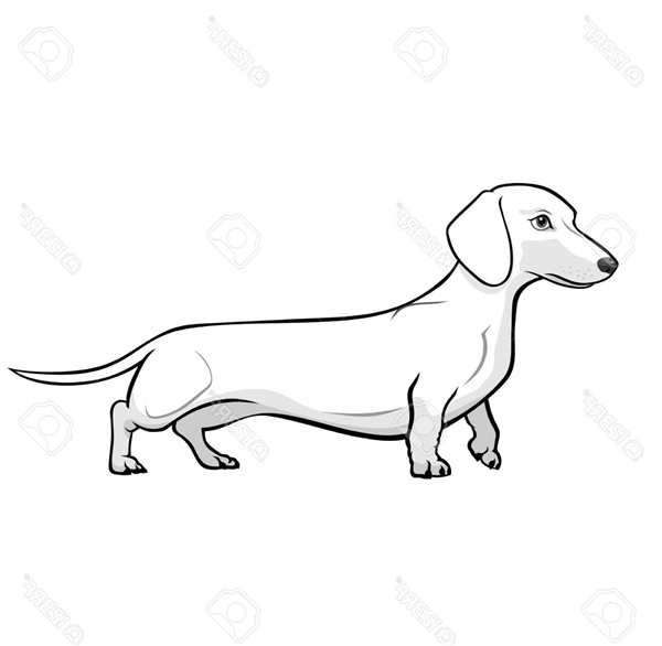 Раскраска Такса Веселые Активности для Детей и Лovers PET
