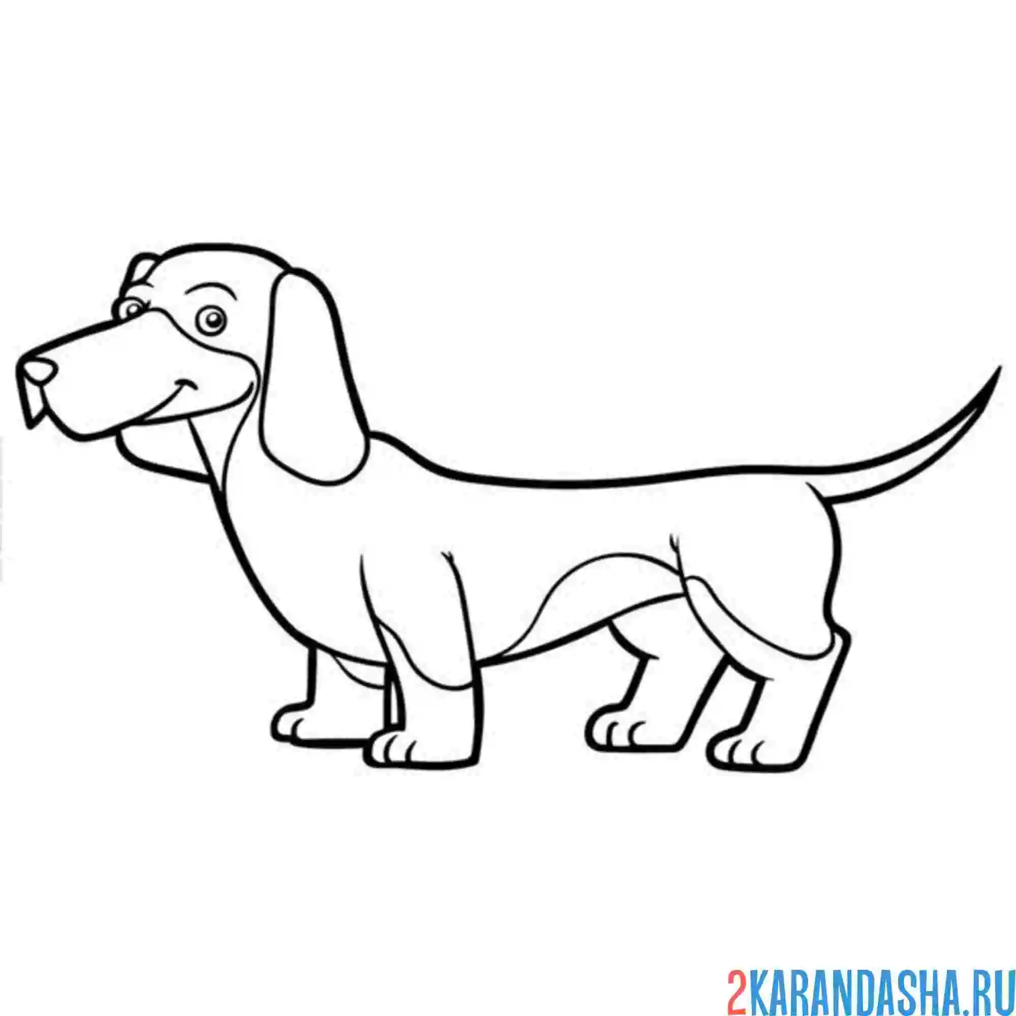 Раскраска Такса Веселые Активности для Детей и Лovers PET