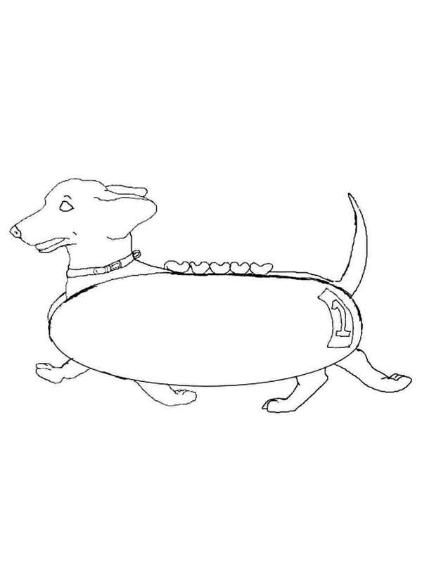 Раскраска Такса Веселые Активности для Детей и Лovers PET