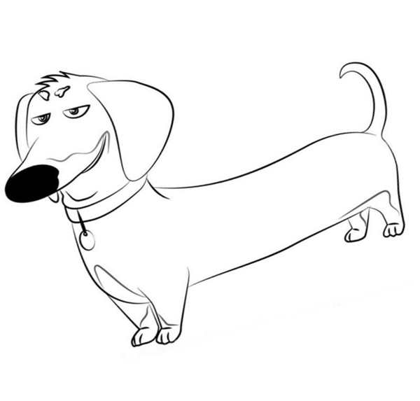 Раскраска Такса Веселые Активности для Детей и Лovers PET