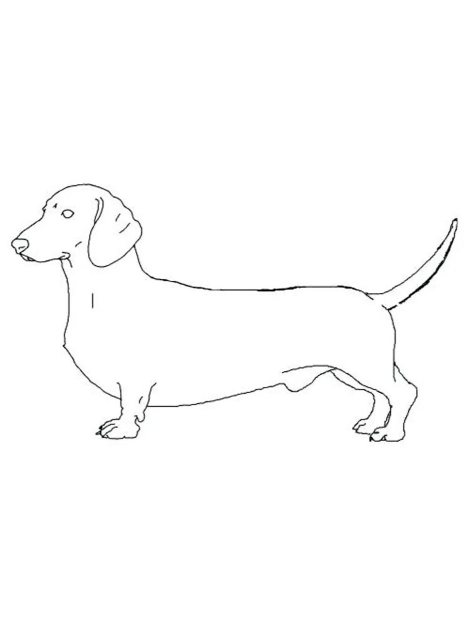 Раскраска Такса Веселые Активности для Детей и Лovers PET
