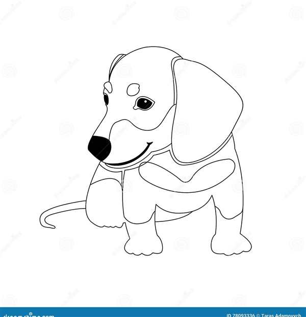 Раскраска Такса Веселые Активности для Детей и Лovers PET