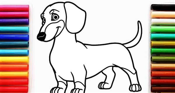 Раскраска Такса Веселые Активности для Детей и Лovers PET