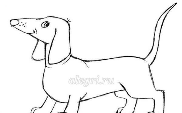 Раскраска Такса Веселые Активности для Детей и Лovers PET
